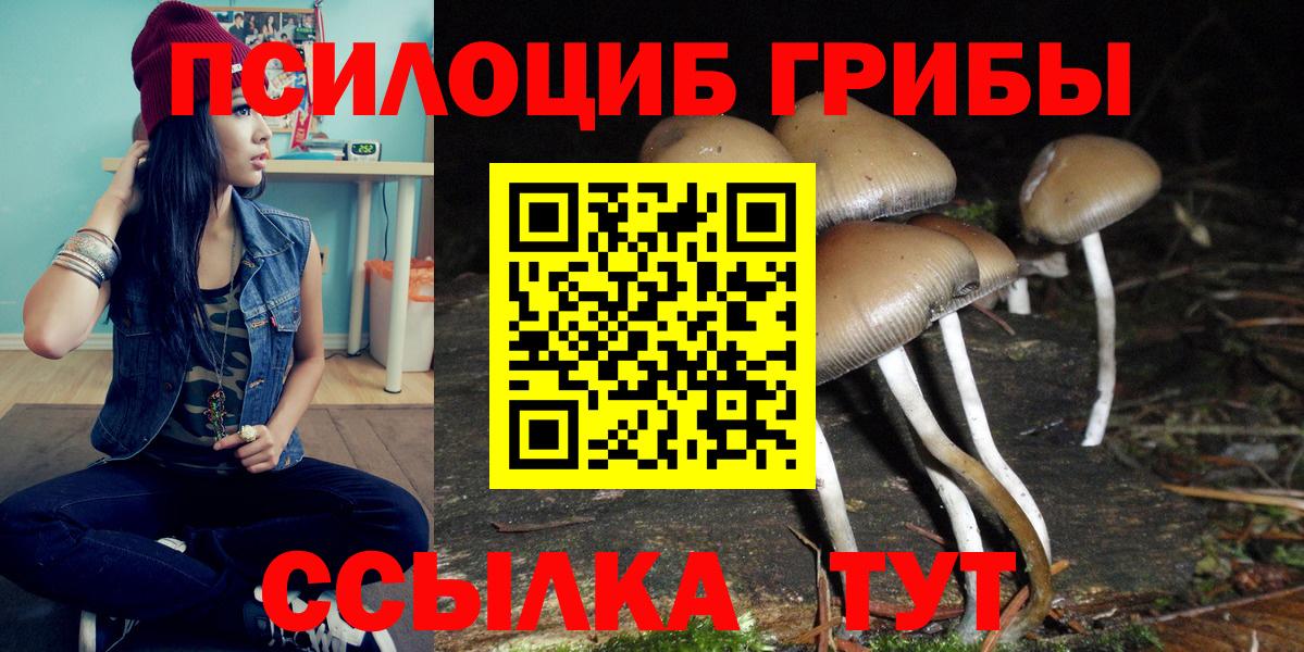 Псилоцибиновые грибы Cubensis Трёхгорный