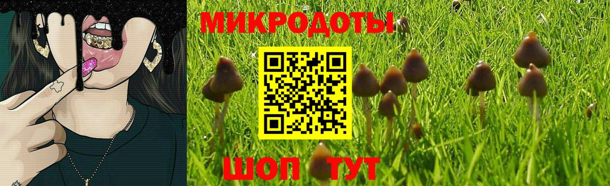 что такое   Псилоцибиновые грибы Magic Shrooms  Вход с VPN  Трёхгорный 